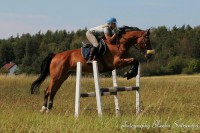 /album/muj-zivot-s-konmi/a310365-4542827058096-1083500485-n-jpg/