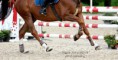 /album/zavody-champions-tour-hradistko-21-9-/img-3818-p-jpg/